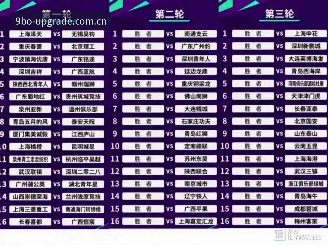 中国足协第三批禁足名单深度解析：在9博体育平台全面了解赛事管理新规